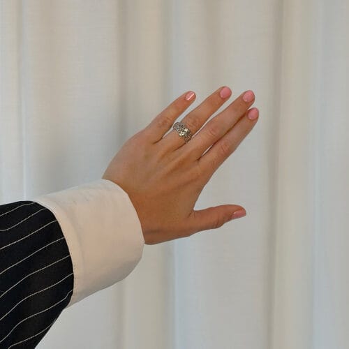 ring beech leaves polished