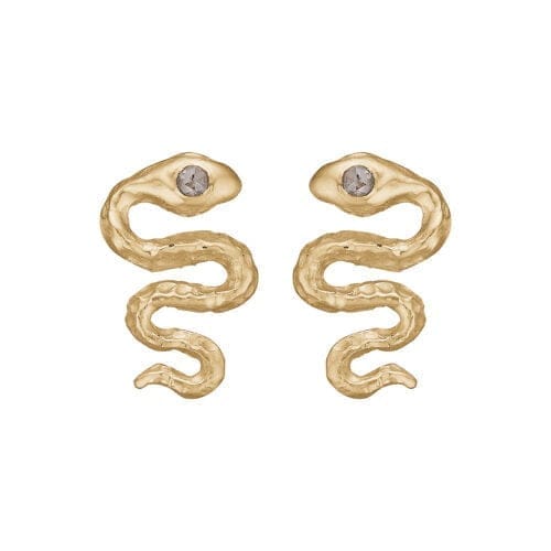 Slange Ørestikkere med Diamant øje