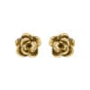 Aphrodite Golden Rose ørestikkere